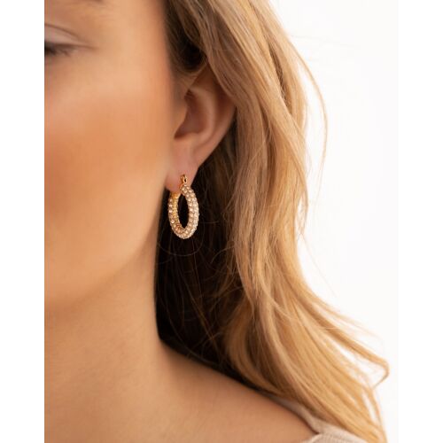 Influencer stone earrings goldplated