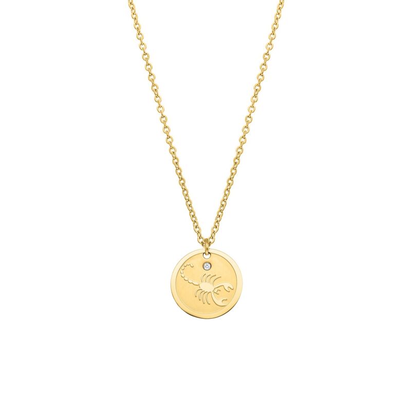 Zodiac sign ketting goldplated