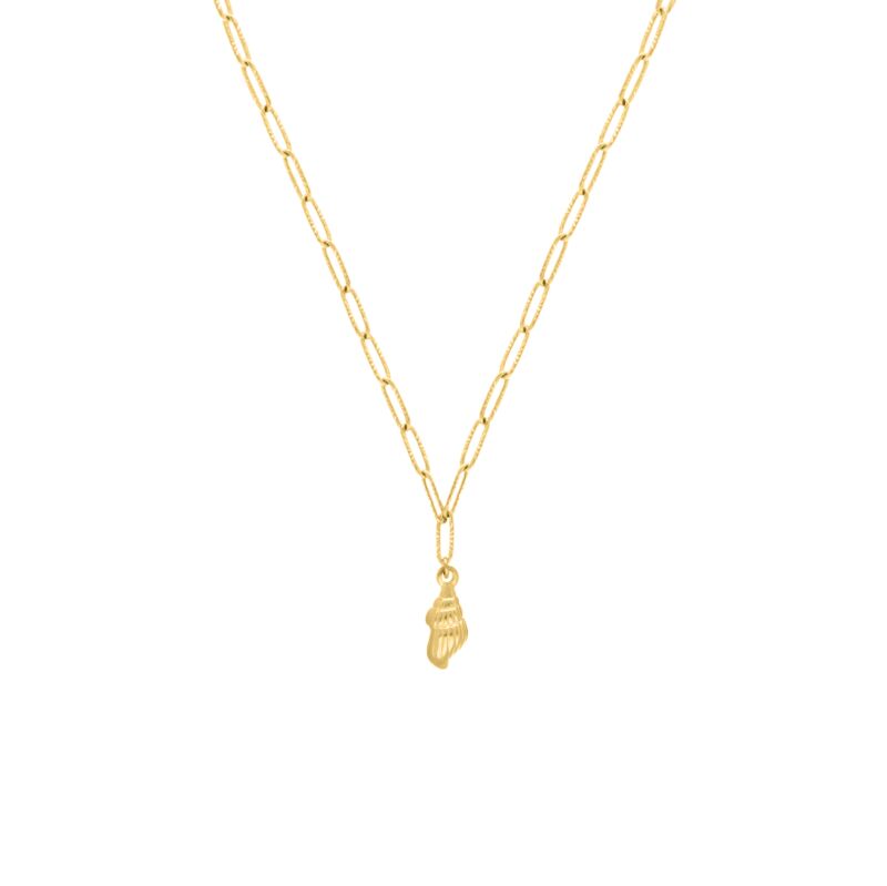 Gouden schakelketting met schelpje