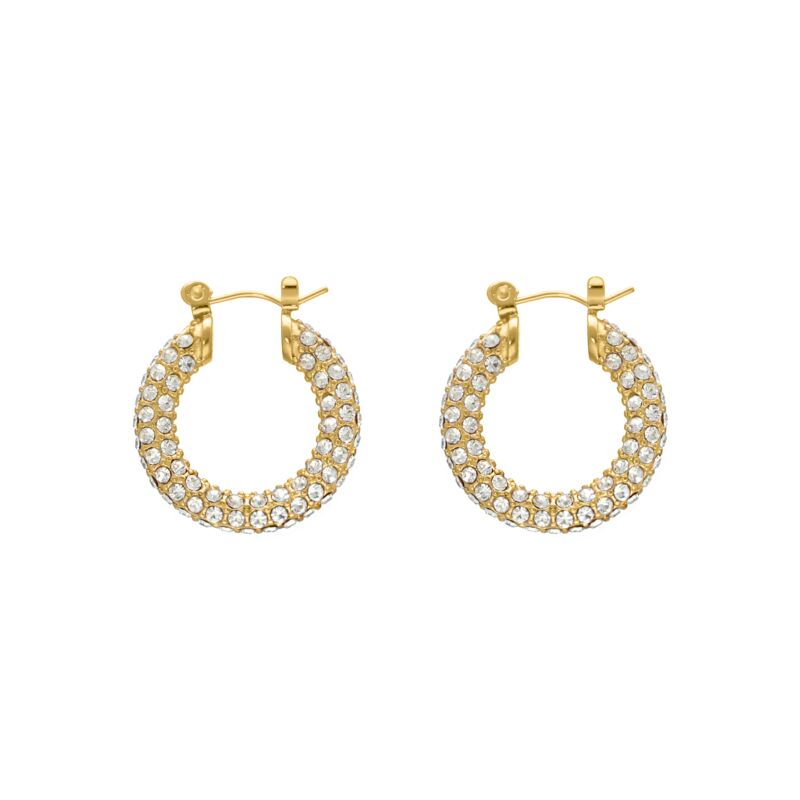 Influencer stone earrings goldplated