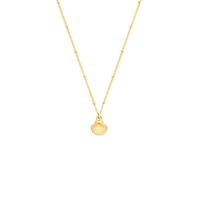 Gouden ketting met schelpje