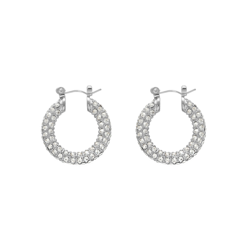 Influencer stone earrings