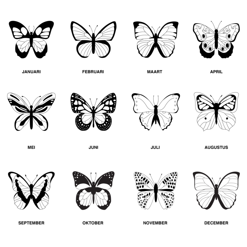 Overzicht van alle geboortevlinders