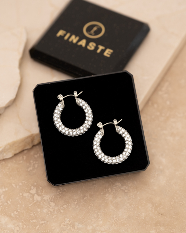 Influencer stone earrings
