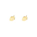 Stud oorbellen blaadje goud kleurig