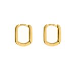 Chunky mini hoops goudkleurig