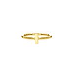 Ring met bar goud