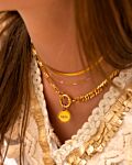 Gouden kettingen mix bij model