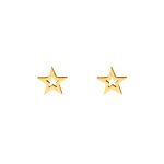 Open star oorknopjes goudkleurig