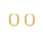 Ovale oorringetjes chunky goud kleurig