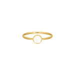 Exclusive sea shell ring goudkleurig