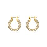 Influencer stone earrings goldplated