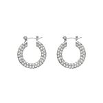 Influencer stone earrings 