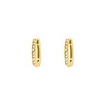 Little shiny hoops goudkleurig