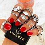 Ringparty in de kleur zilver
