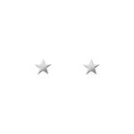 Ster stud oorbellen