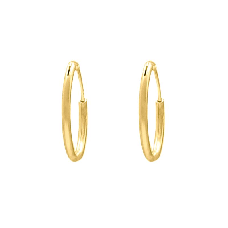 Oorringetjes Sterling Zilver 20 mm Verguld
