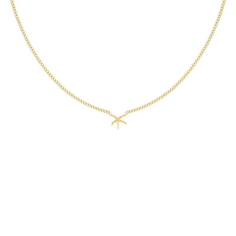 Zeester ketting goudkleurig