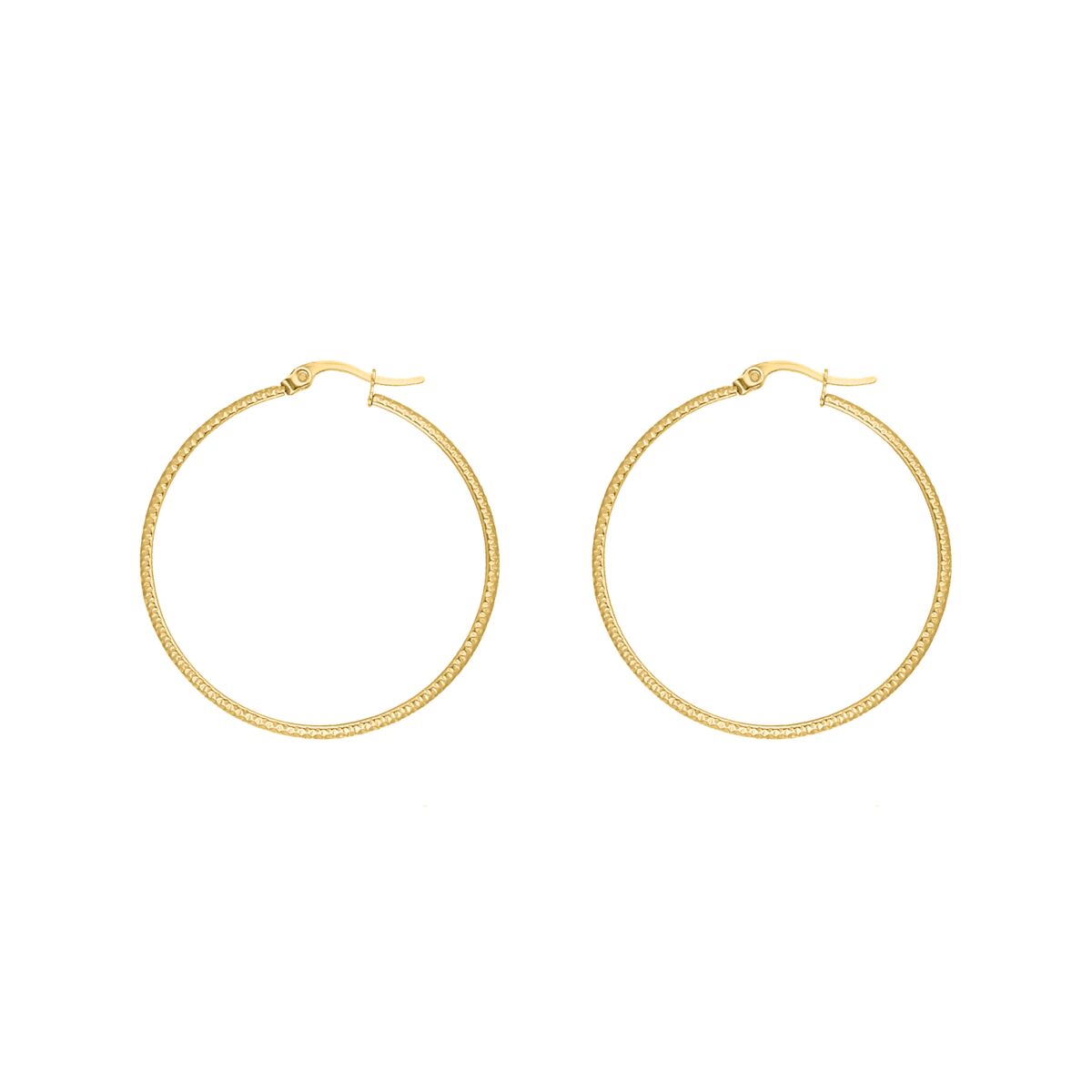 Gouden hoop oorbellen