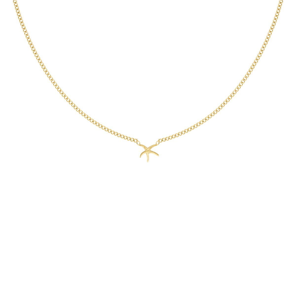 Zeester ketting goudkleurig