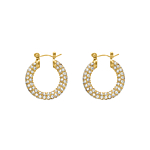 Influencer stone earrings goldplated