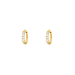 Shiny oorringetjes 8 mm goudkleurig