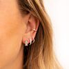 Earparty met zilveren oorbellen