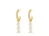 Exclusive crystal drop earrings goldplated