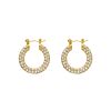 Influencer stone earrings goldplated